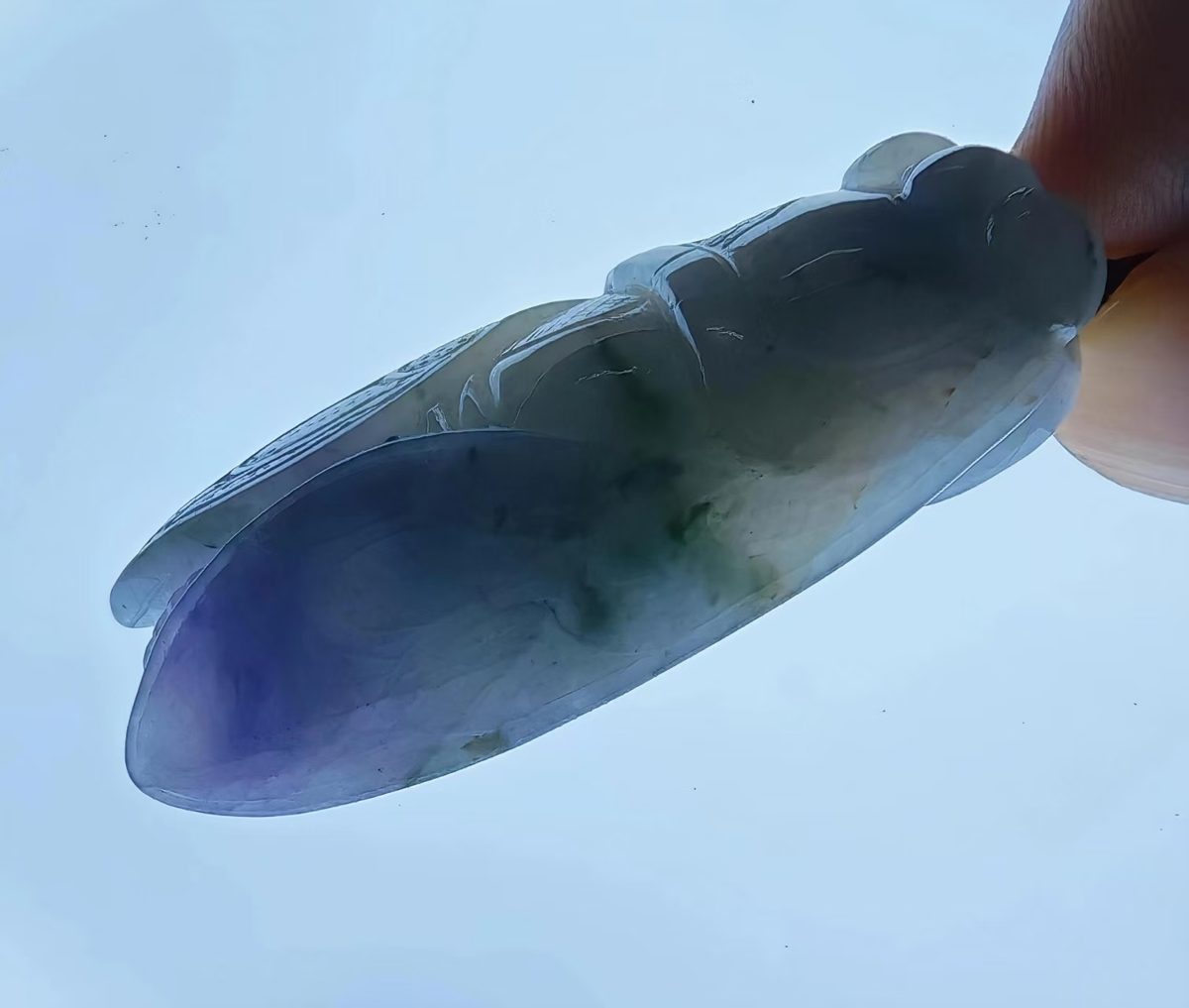紫罗兰飘绿花翡翠蝉（一鸣惊人） 角度3