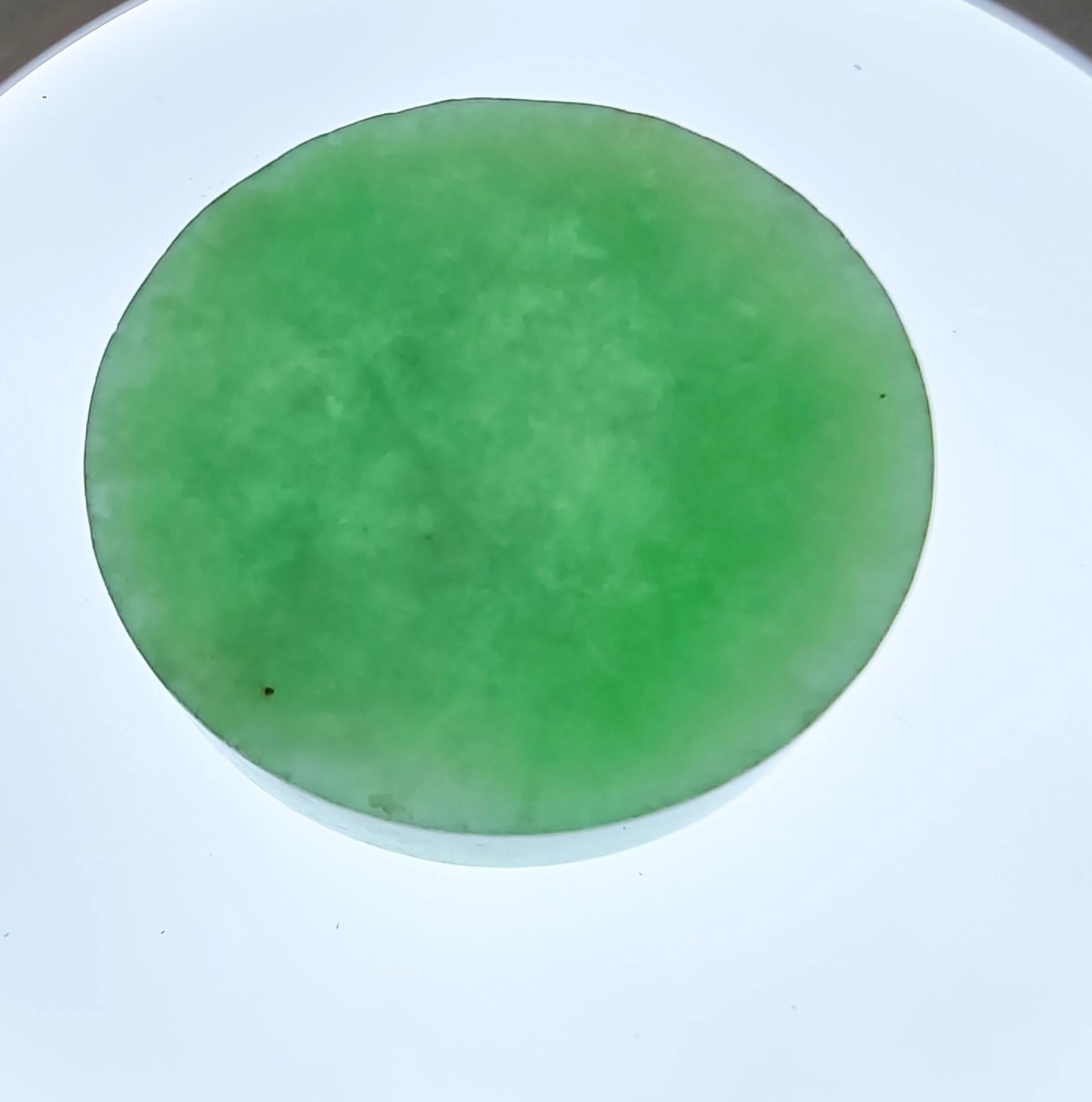 果绿翡翠圆牌料