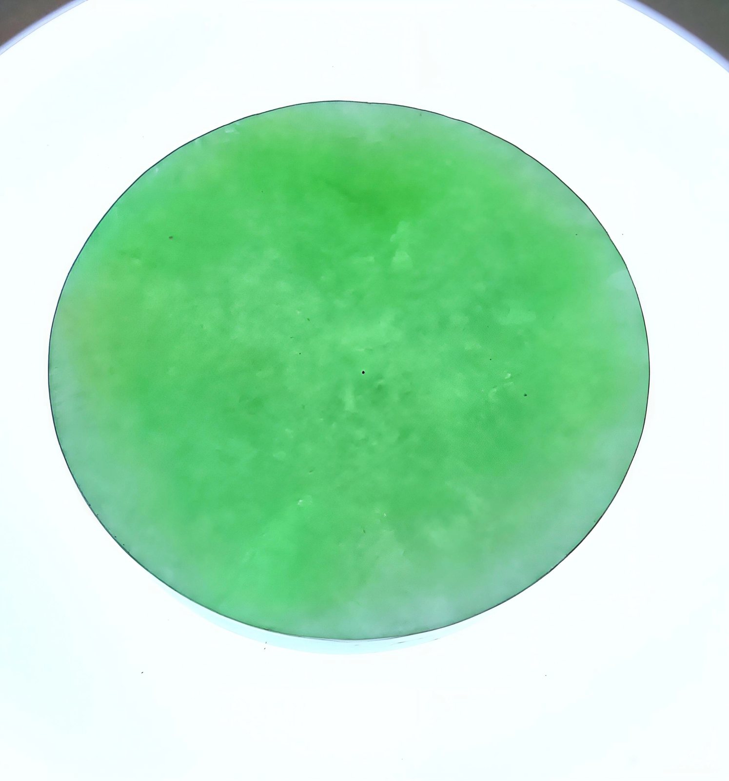 果绿翡翠圆牌料（Φ55）