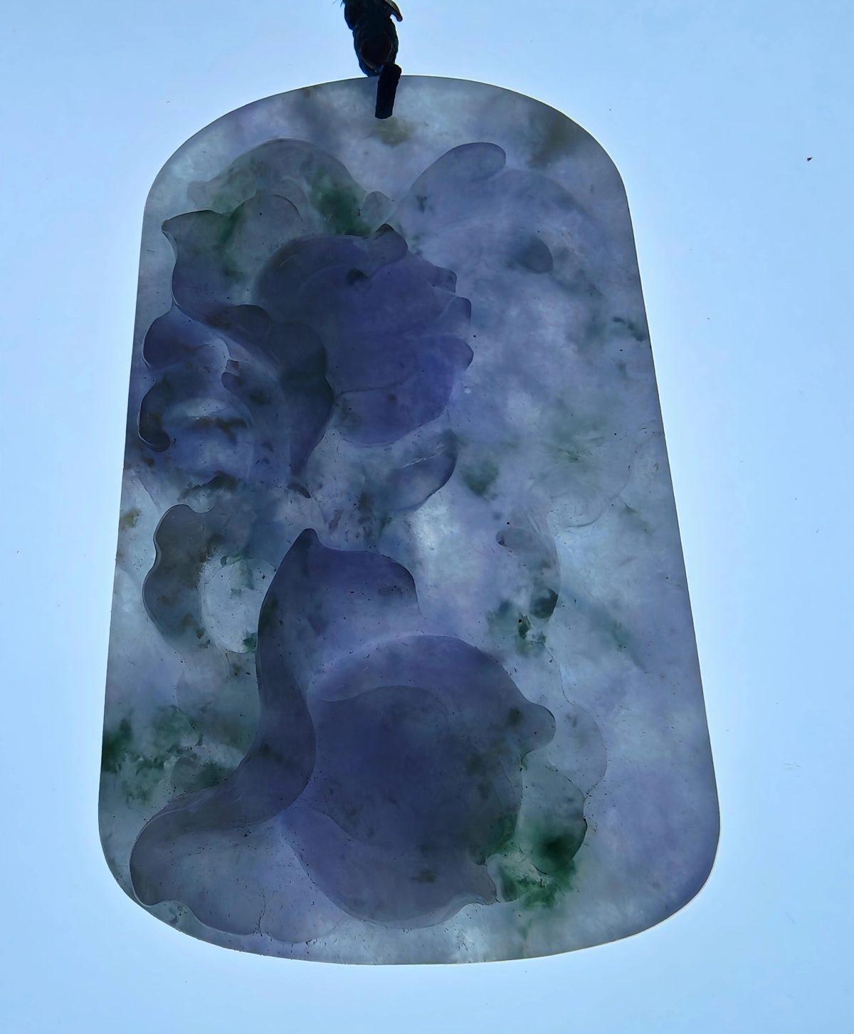 紫罗兰飘绿花牡丹牌·花开富贵（52） 角度1
